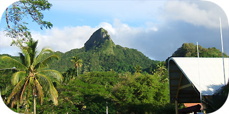 >>> Ikurangi as seen from the National Museum / photo &copy; cookislands.com