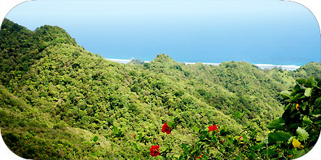 >>> mountain ridge leads down to the ocean / photo &copy; cookislands.com