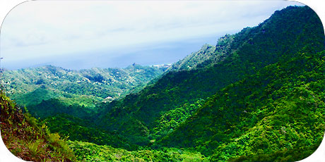 >>> Looking down a valley towards the ocean / photo &copy; cookislands.com