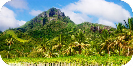 >>> Mount Ikurangi with Papaya plantation / photo &copy; cookislands.com