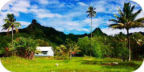 >>> Ikurangi 485 metres and Te Manga 653 m. / photo &copy; cookislands.com