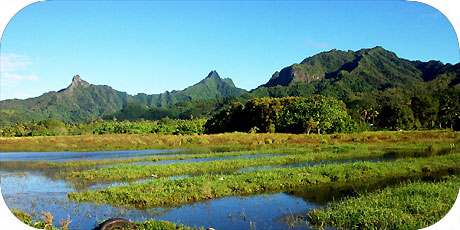 >>> Ikurangi , Te Manga and Maungatea from Avatiu / photo &copy; cookislands.com