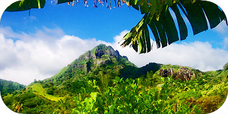 >>> Ikurangi mountain 485 metres / photo &copy; cookislands.com