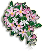 a brides bouquet