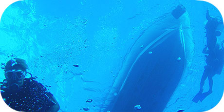 >>> Looking up to the dive boat &copy; Pacific Divers