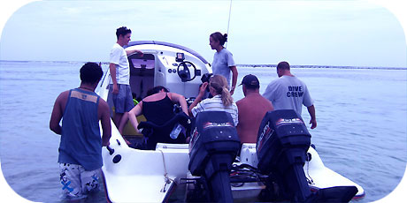 >>> Heading out for a dive / photo archi &copy; cookislands.com
