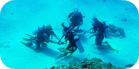 >>> Demonstrating skills in Open Water &copy; Pacific Divers