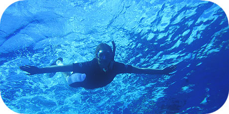 >>> Into the blue &copy; Pacific Divers