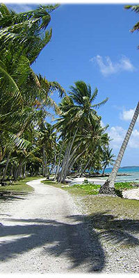 >>> island street &copy; Halina Sydow