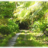 >>> Inland road &copy; Halina Sydow