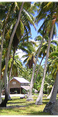 >>> House, palms &copy; Halina Sydow