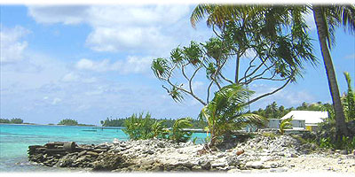 >>> typical rocky beach, lagoone, blue sky, palm &copy; Halina Sydow