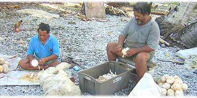 >>> Men peeling taro on the beach &copy; Halina Sydow